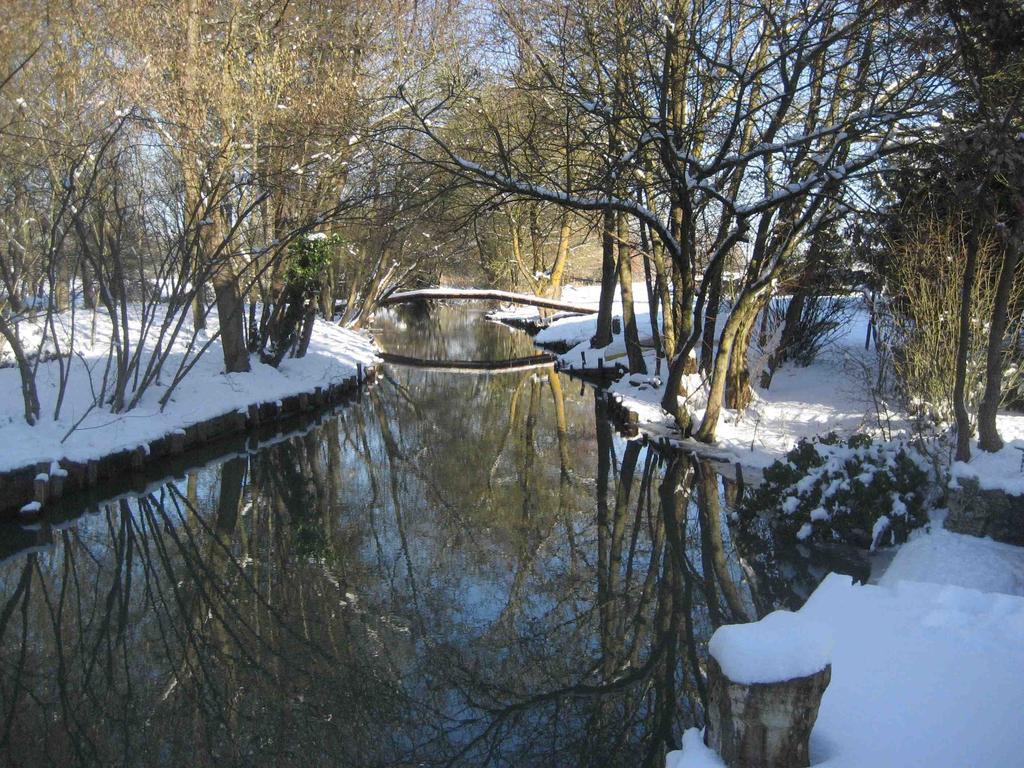 Le Moulin Des Foulons Bed and Breakfast Chédigny Exteriör bild